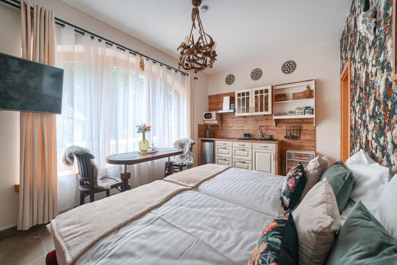 Rich Witch Villa&Spa Kościelisko Exteriér fotografie